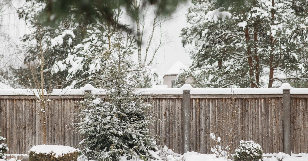 A wooden privacy fence line