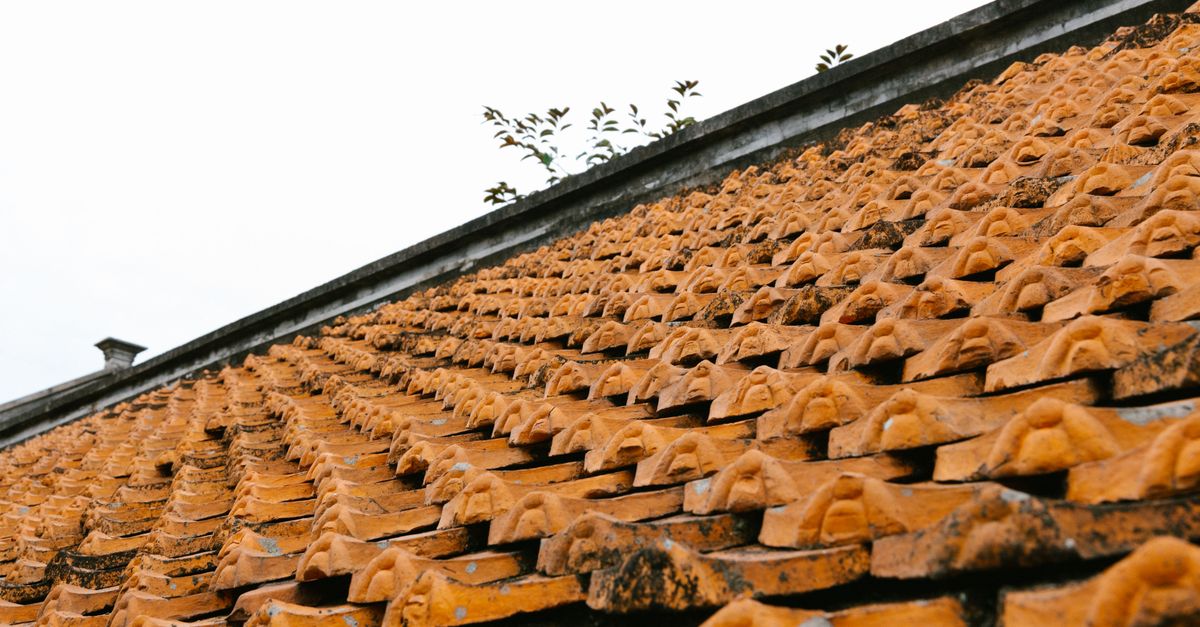 Close-up of roofing tiles
