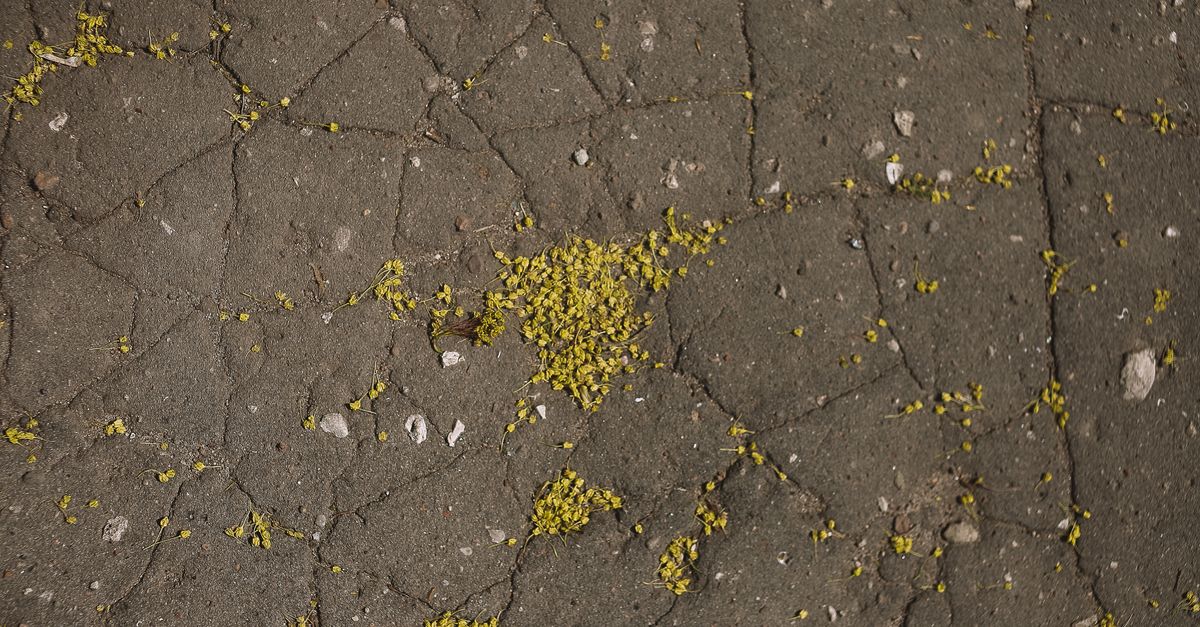 A close-up crack in a concrete slab