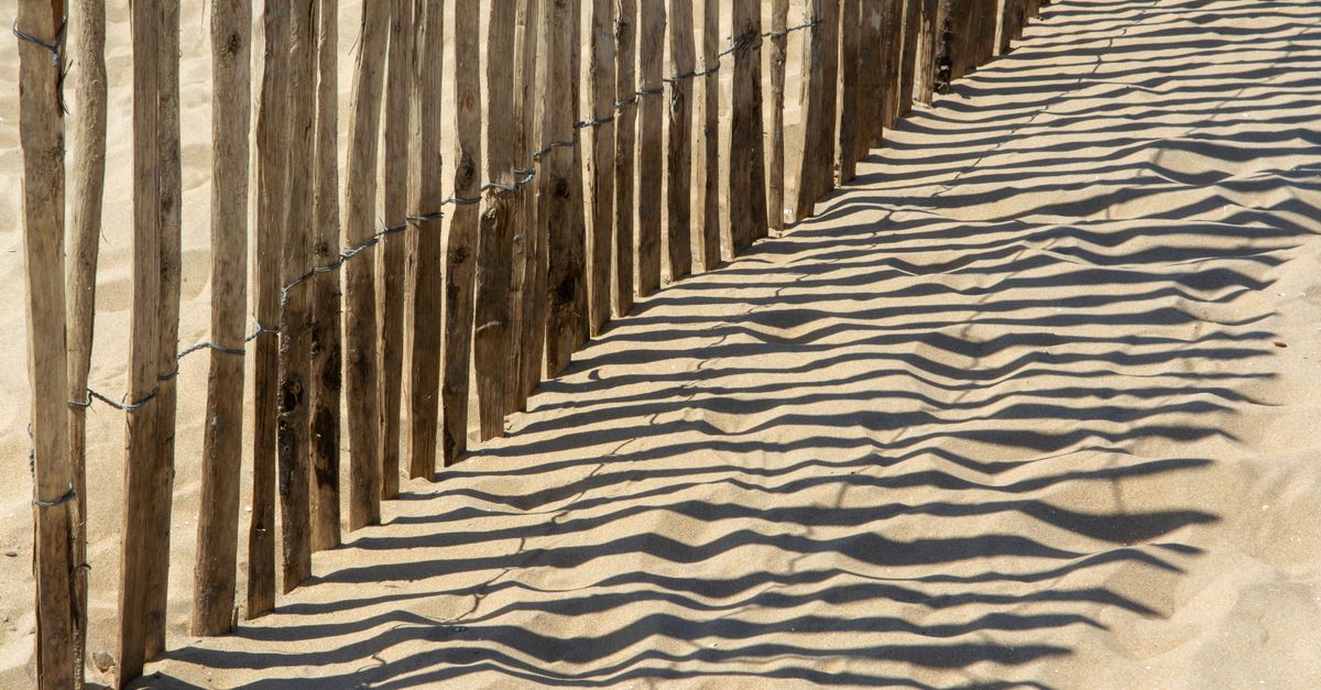 Weathered wood fence boards