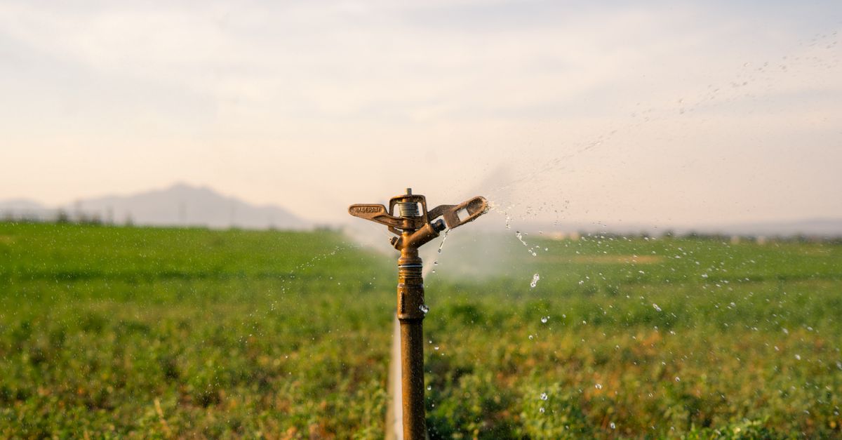 Close-up of a drip emitter