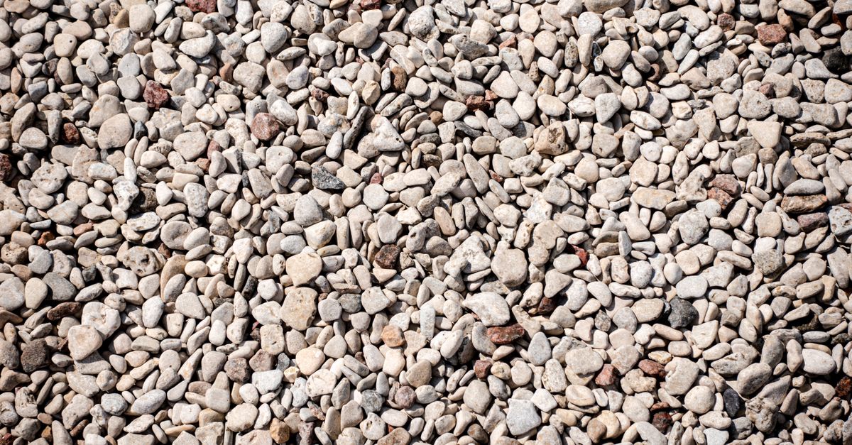 Gravel and desert plants in a yard