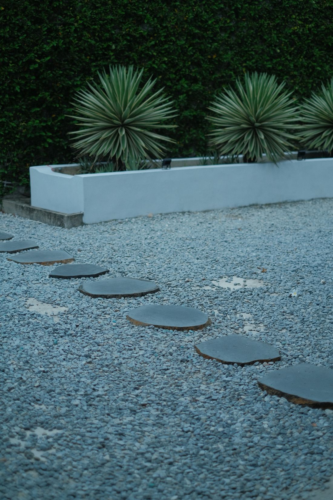 A low-water desert yard with decomposed-granite gravel, yucca, and stepping stones
