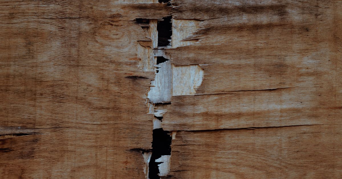 A damaged and leaning fence panel
