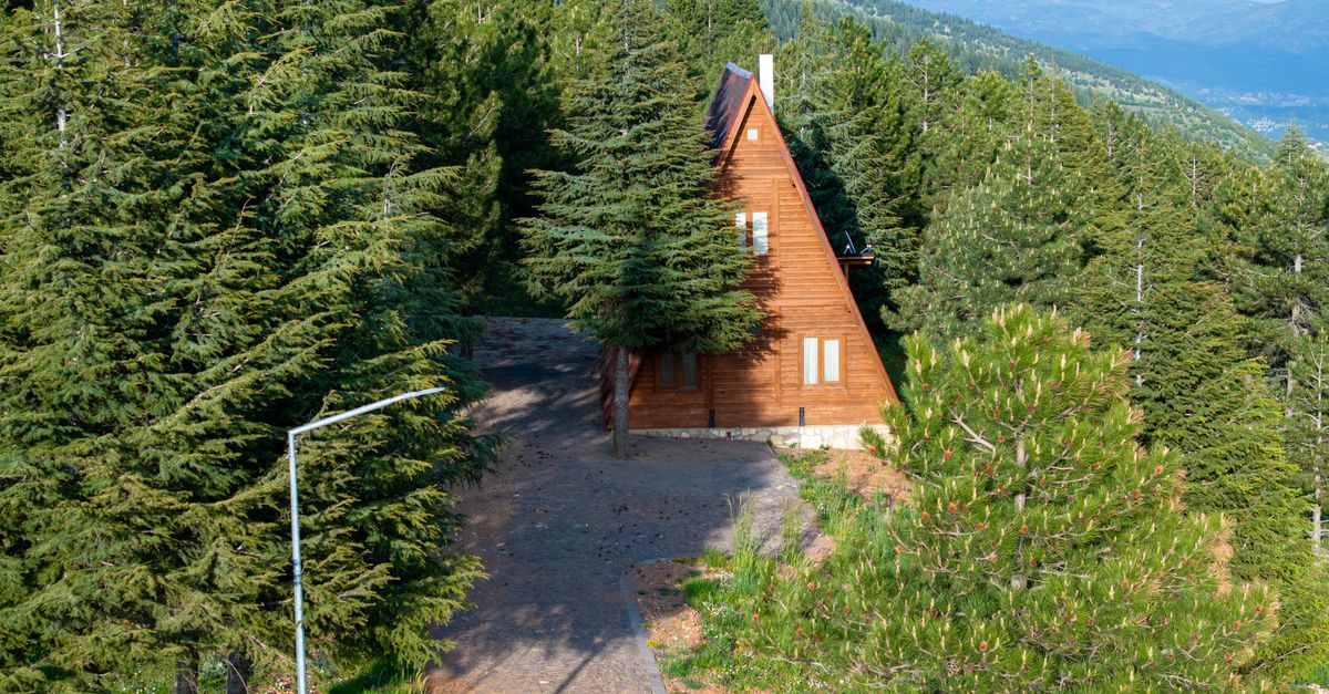 Pine trees close to a mountain home