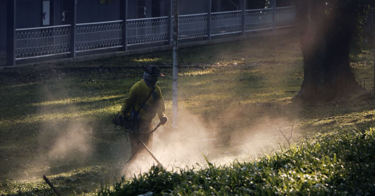 A landscaper working in a yard
