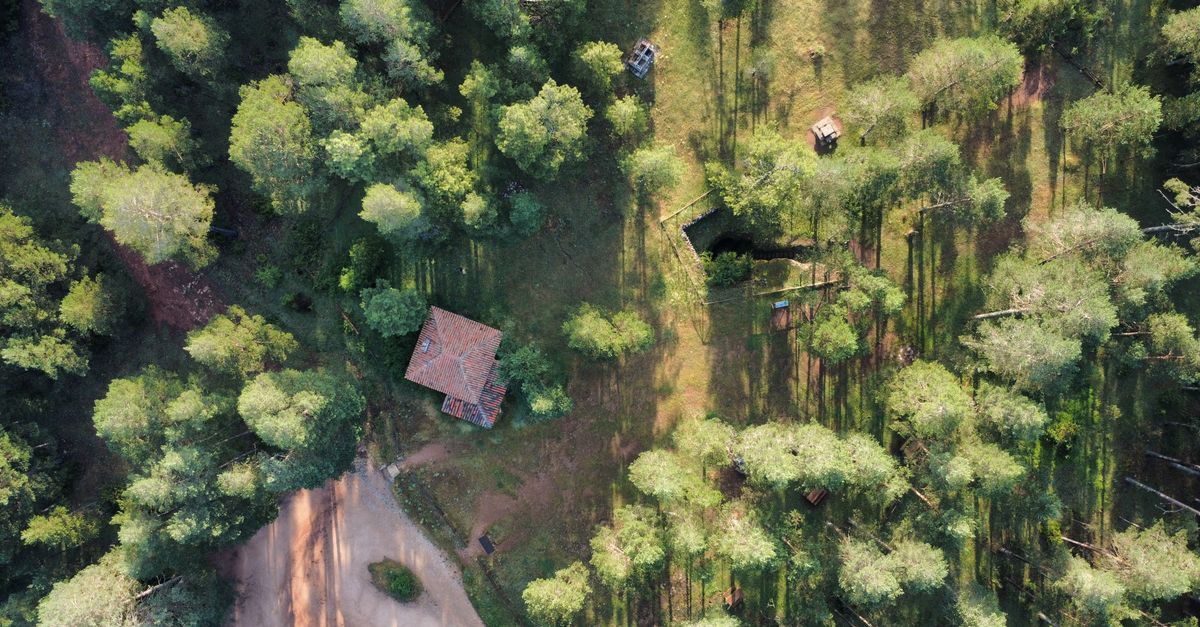 Cleared defensible space around a forested property