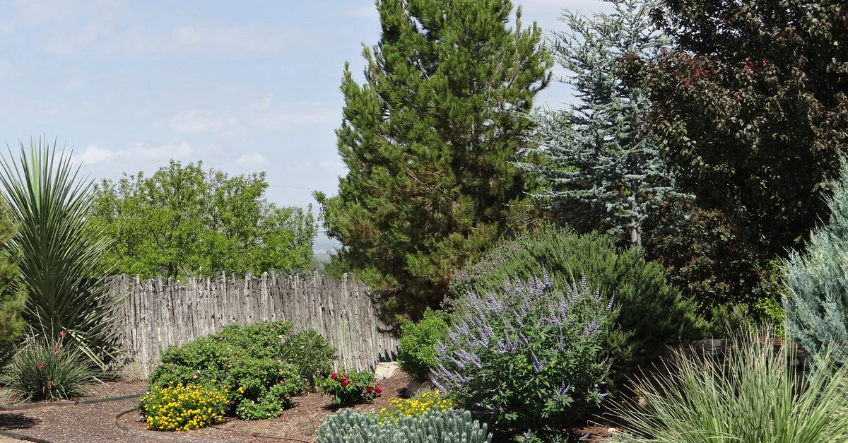 A low-water landscape with drought-tolerant plants