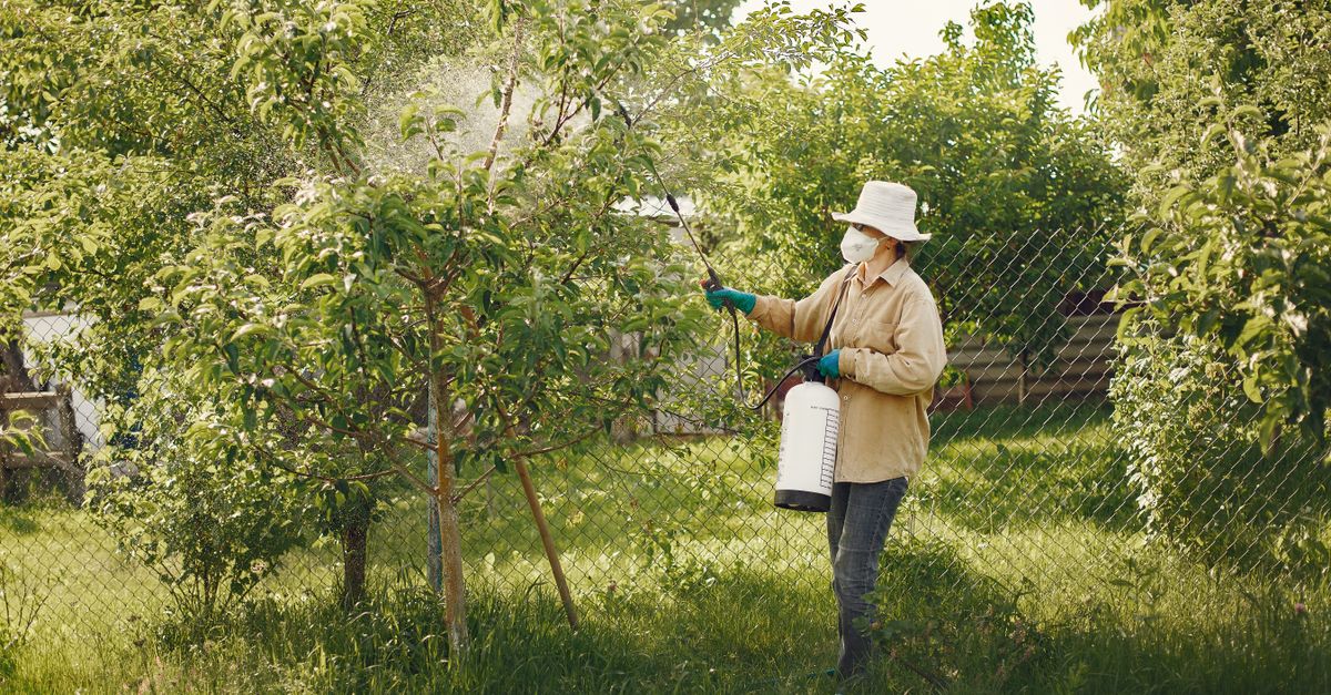 A pest control technician treating a home exterior