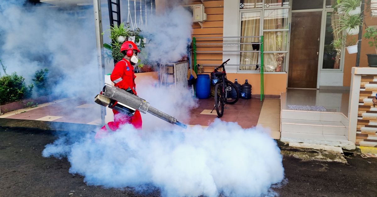 A technician inspecting a home for pests