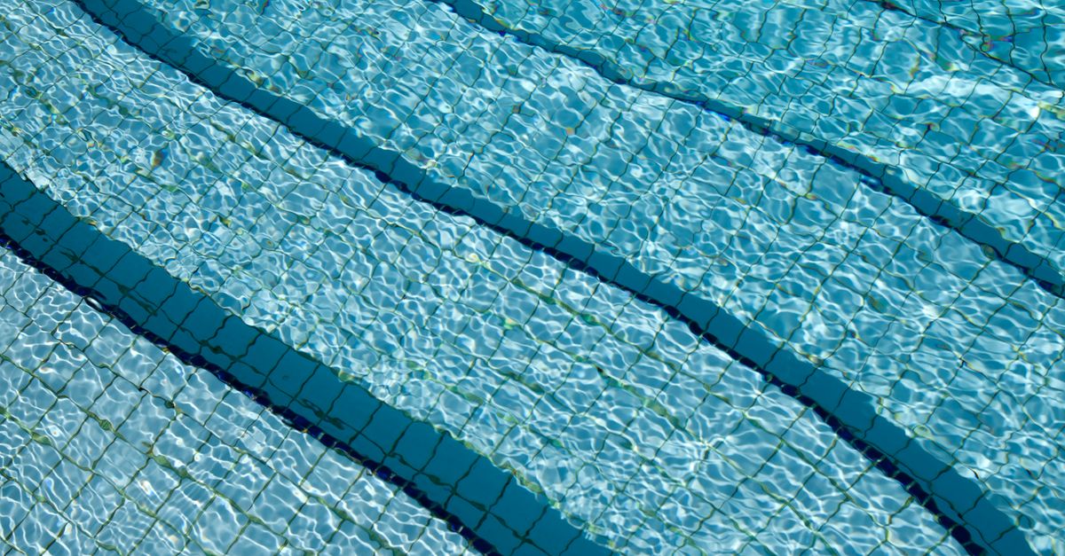 A backyard pool being skimmed clean