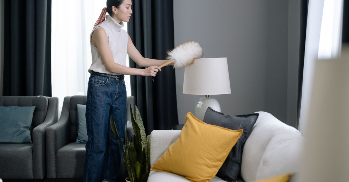 Dusting and cleaning inside a home