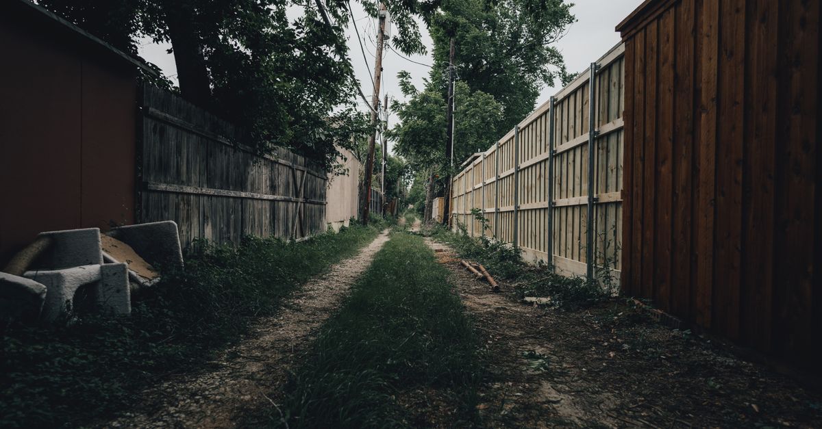 A fence line along a backyard property boundary