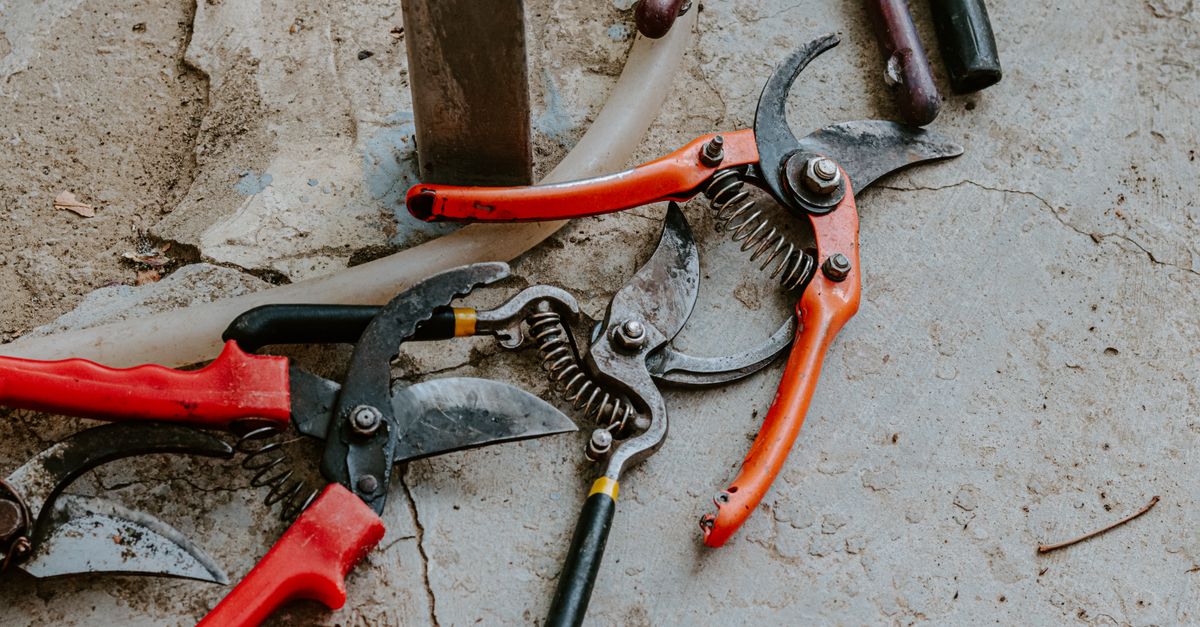 Pruning shrubs in a desert yard
